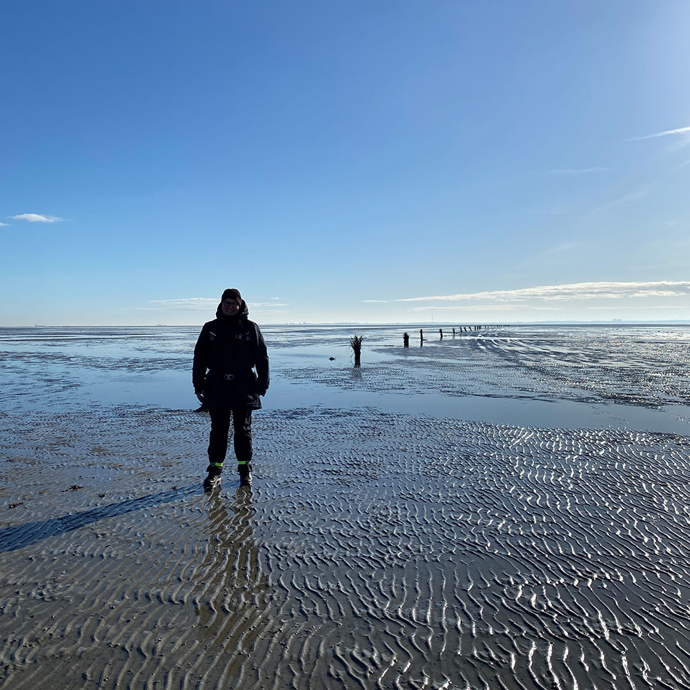 Wattwandern in Nordfriesland