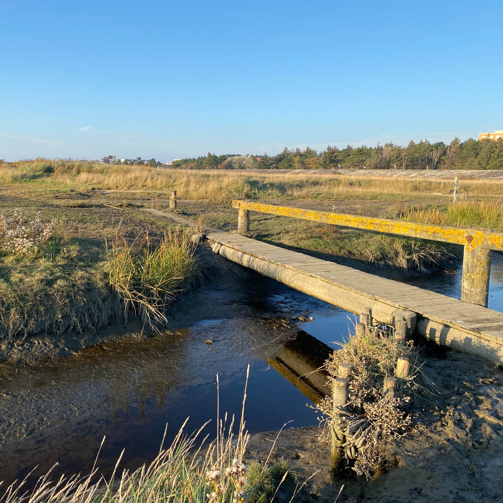 Wattwandern in Nordfriesland